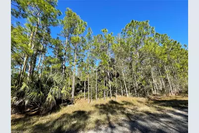 308 Rosanna Ave, Lehigh Acres, FL 33972 - Photo 11