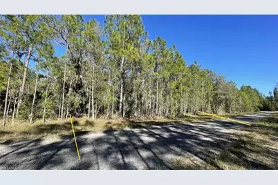 308 Rosanna Ave, Lehigh Acres, FL 33972 - Photo 3