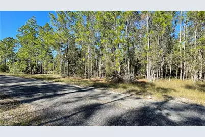 308 Rosanna Ave, Lehigh Acres, FL 33972 - Photo 13