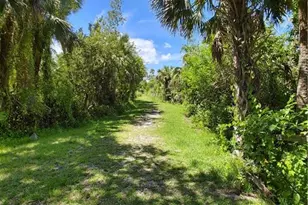 17091 Laurelin Ct, North Fort Myers, FL 33917 - Photo 37