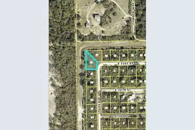 3005 Louis Ave, Alva, FL 33920 - Photo 3