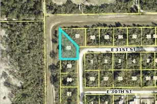 3005 Louis Ave, Alva, FL 33920 - Photo 3