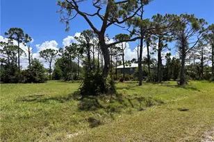 3728 Mango St, Saint James City, FL 33956 - Photo 7