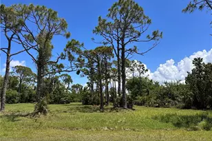 3728 Mango St, Saint James City, FL 33956 - Photo 9