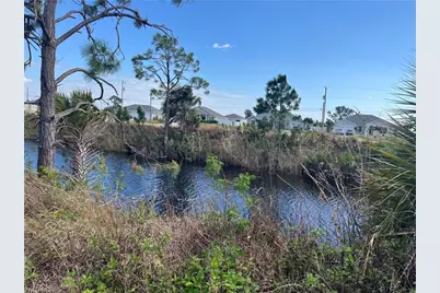 1010 NE 44th Ln, Cape Coral, FL 33909 - Photo 1