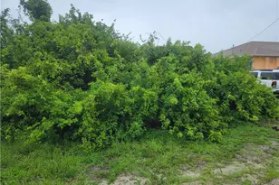 3114 5th St SW, Lehigh Acres, FL 33976 - Photo 7