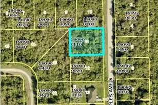 446 Naples Ave S, Lehigh Acres, FL 33974 - Photo 1