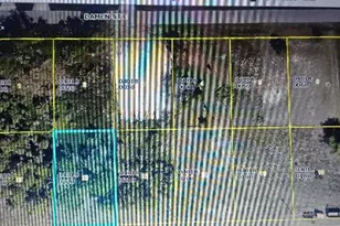 1235 Delores St E, Lehigh Acres, FL 33974 - Photo 1