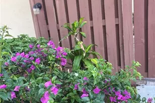 5245 Cedarbend Dr, Fort Myers, FL 33919 - Photo 9