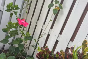 5245 Cedarbend Dr, Fort Myers, FL 33919 - Photo 39