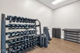 43989 Boardwalk Loop, Babcock Ranch, FL 33982 - Photo 31