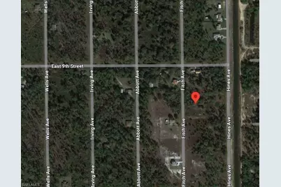 816 Fitch Ave, Lehigh Acres, FL 33972 - Photo 3