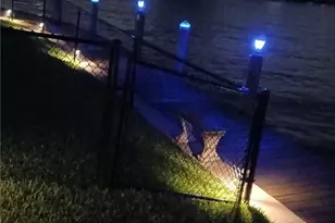 1951 SE 32nd St, Cape Coral, FL 33904 - Photo 43