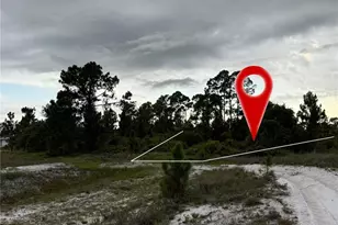 1121 Hallmark Ave S, Lehigh Acres, FL 33974 - Photo 3