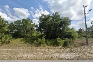 730 Manhattan St E, Lehigh Acres, FL 33974 - Photo 1