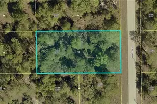 1003 Abbott Ave, Lehigh Acres, FL 33972 - Photo 1