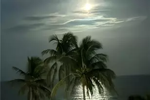 4005 Gulf Shore Blvd N, Naples, FL 34103 - Photo 15