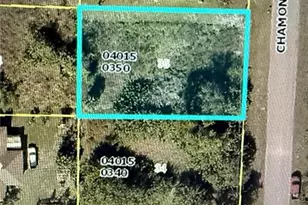 524 Chamonix Ave S, Lehigh Acres, FL 33974 - Photo 1