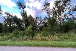 29431 Nottingham Rd, Punta Gorda, FL 33982 - Photo 1