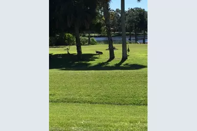 21090 Captain Nelson Ct, Alva, FL 33920 - Photo 47