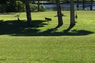 21090 Captain Nelson Ct, Alva, FL 33920 - Photo 47