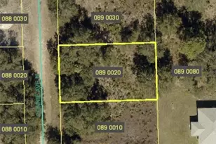 5902 Connie Ave N, Lehigh Acres, FL 33971 - Photo 3