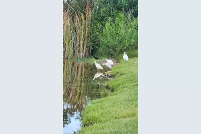 1818 NE 1st Pl, Cape Coral, FL 33909 - Photo 11