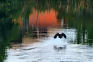 1818 NE 1st Pl, Cape Coral, FL 33909 - Photo 9