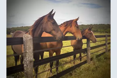 4880 Landen Ln, Fort Myers, FL 33905 - Photo 11