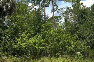 3343 Tiffiny St, Punta Gorda, FL 33980 - Photo 1