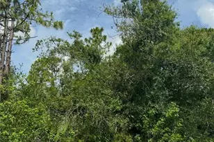 3351 Tiffiny St, Punta Gorda, FL 33980 - Photo 1