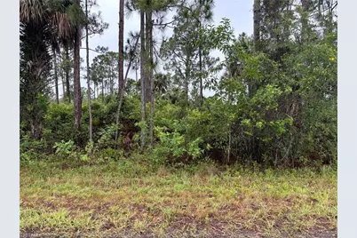 868 Audrey St E, Lehigh Acres, FL 33974 - Photo 1