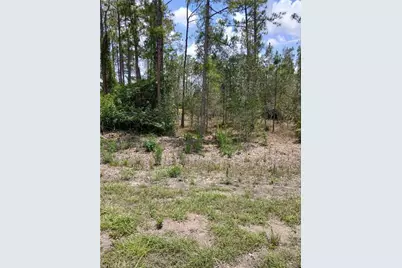 2142 Winnetka Dr, Lehigh Acres, FL 33972 - Photo 3