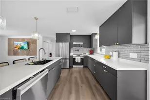 127 SE 43rd Ln, Cape Coral, FL 33904 - Photo 11