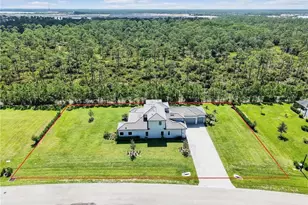 19679 Panther Island Blvd, Estero, FL 33928 - Photo 3