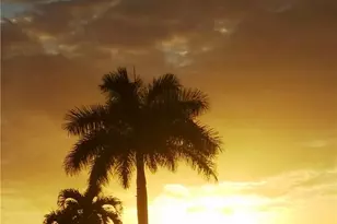 9 Amethyst Ave, Naples, FL 34114 - Photo 1