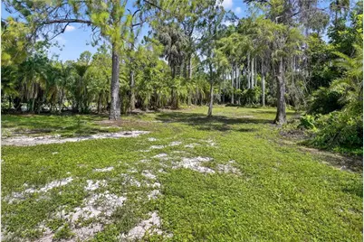 6035 Painted Leaf Ln, Naples, FL 34116 - Photo 25