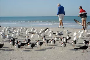 690 100th Ave N, Naples, FL 34108 - Photo 31