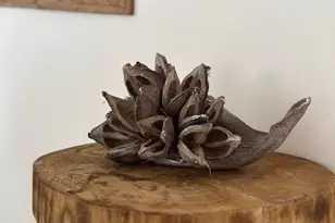 1282 Illinois Dr, Naples, FL 34103 - Photo 11