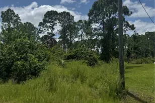 3315 70th St W, Lehigh Acres, FL 33971 - Photo 1