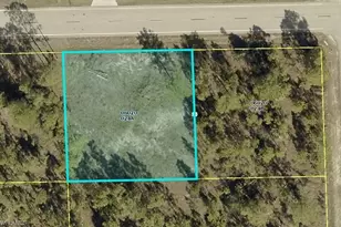 1404 East 10th Street, Lehigh Acres, FL 33972 - Photo 1