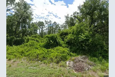 1860 Maurice Ave, Lehigh Acres, FL 33972 - Photo 1