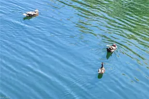 1821 Tarpon Bay Dr S, Naples, FL 34119 - Photo 29