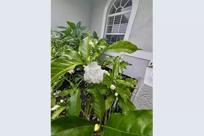 1940 Desoto Blvd N, Naples, FL 34120 - Photo 5