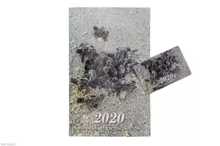 788 Park Shore Dr, Naples, FL 34103 - Photo 27