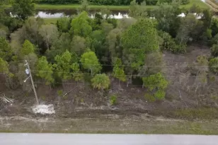 911 Foxdale Ave, Lehigh Acres, FL 33974 - Photo 1