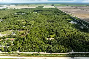 325 Sunnygrove Ave, Naples, FL 34114 - Photo 7