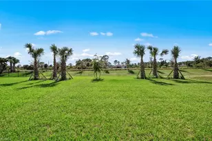 3861 Passion Vine Dr, Alva, FL 33920 - Photo 31