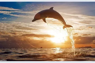 26171 Hickory Blvd #4C, Bonita Springs, FL 34134 - Photo 41