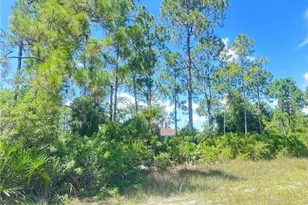 1005 W 18th St, Lehigh Acres, FL 33972 - Photo 1